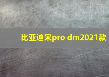 比亚迪宋pro dm2021款